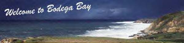 Welcome to Bodega Bay