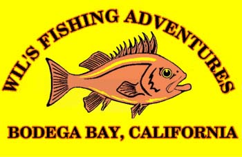 Wil's Fishing Adventures
